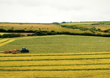 Agri