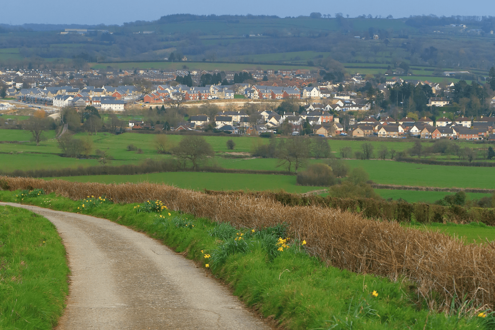 Axminster (1) Axminster (1)