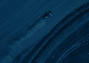 Placeholder Blog feature