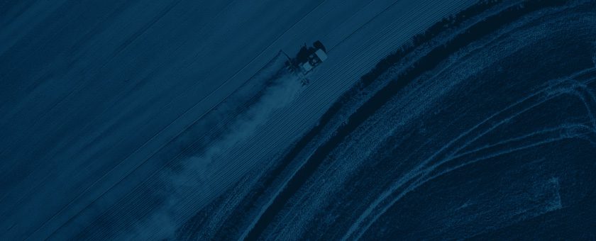 Placeholder Blog feature