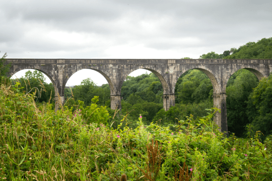 Holsworthy (1)