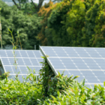 Sustainable Tourism