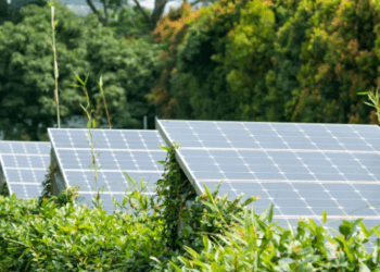Sustainable Tourism