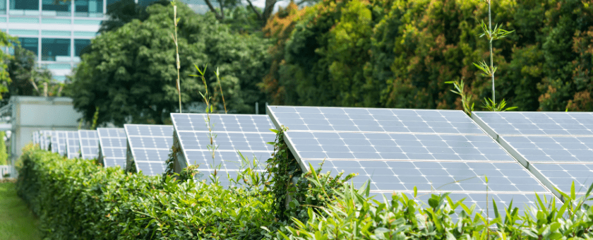 Sustainable Tourism