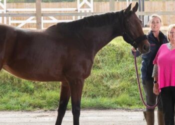 Rathkenny Stud