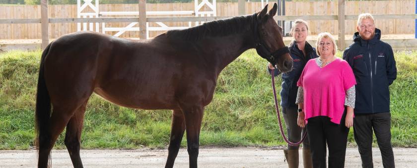 Rathkenny Stud