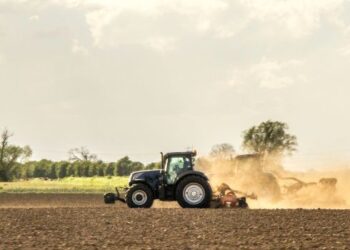 Top tips for farm diversification