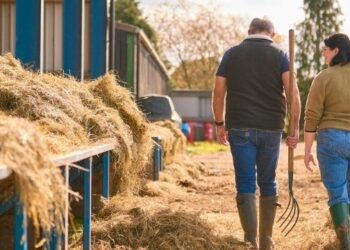 Farmer UK